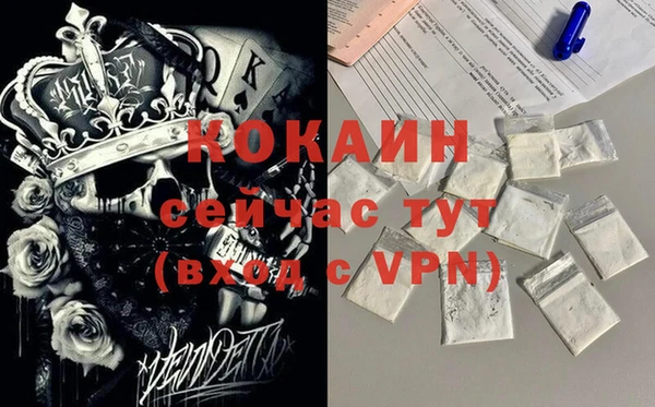 PSILOCYBIN Богородицк