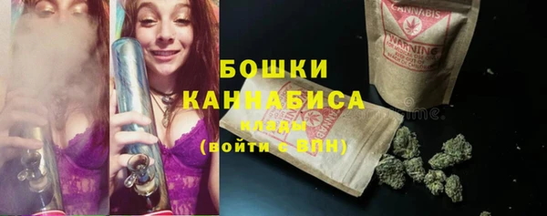 PSILOCYBIN Богородицк