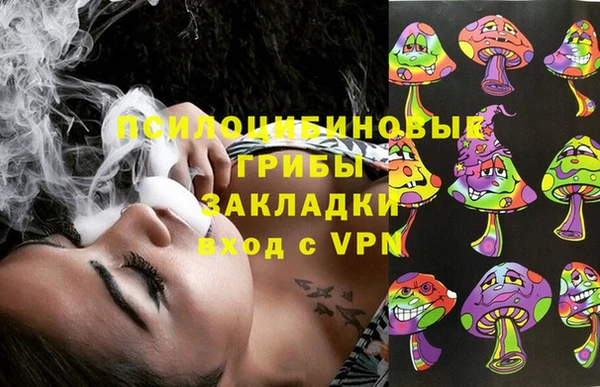 PSILOCYBIN Богородицк